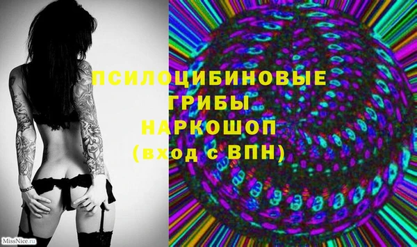 синтетический гашиш Алексин