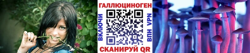 omg вход  Кувшиново  Псилоцибиновые грибы прущие грибы 